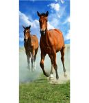 DETEXPOL RĘCZNIK 70/140 HORSE RIDING 14 BT